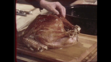 Roast Turkey Cooking GIF by Julia Child