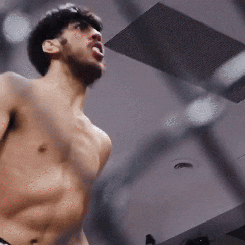 The Sniper Mma GIF