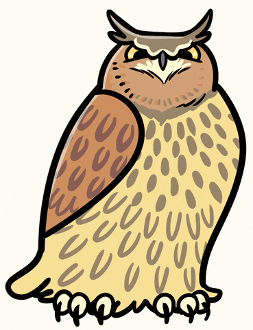 Eagle Owl Bird GIF