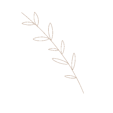Plant Sticker