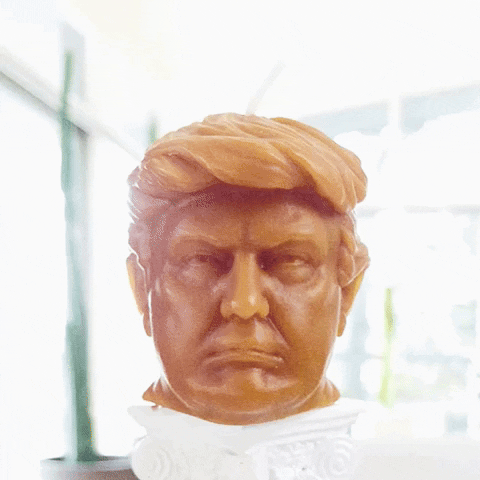 Donald Trump Politics GIF by Hot Head Candles