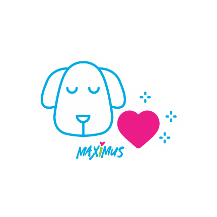 Maximus pets Sticker