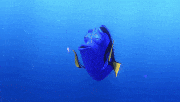 disney pixar ocean GIF by Disney