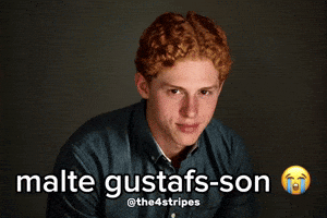 New York Islanders Hockey GIF