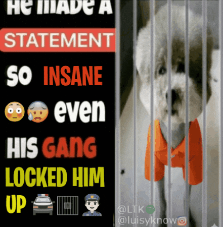 Dog Gang GIF