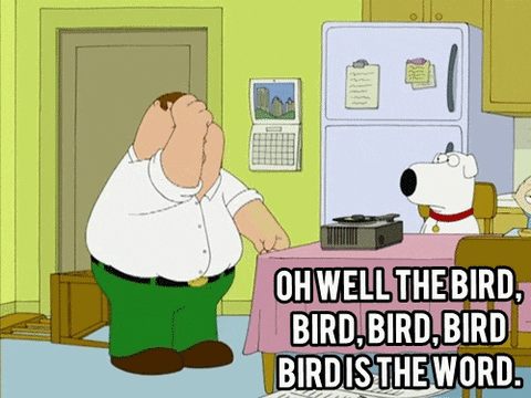 bird-bird meme gif