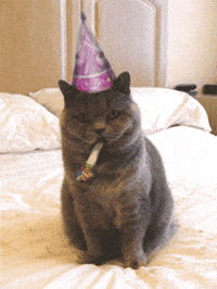 Joyeux Anniversaire Gifs Get The Best Gif On Giphy