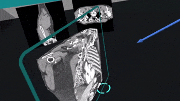 Pointer GIF
