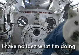 Dog floating in a space station "i have no idea what i'm doing" GIF