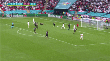 200.gif?cid=fc005b082dd9195abdca1359f7ae8e9a9c50ebc0eb738ba6&rid=200.gif&ct=g