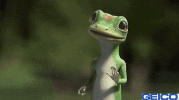 200.gif?cid=fc005b08f8b137821766df1a3c4acbe926fffa530f6bbce4&rid=200.gif&ct=g