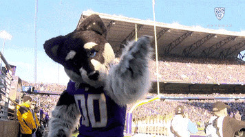 Football Hype GIF by Pac-12 Network