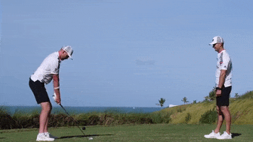 Watch Watching GIF by Me and My Golf