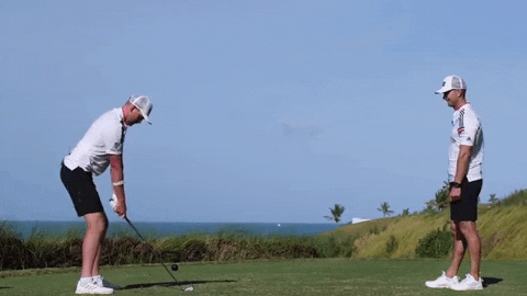 Watch Watching GIF by Me and My Golf - Find & Share on GIPHY