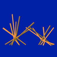 French Fries Art GIF by University of Florida