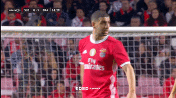 Sl Benfica Slbgif GIF by Sport Lisboa e Benfica