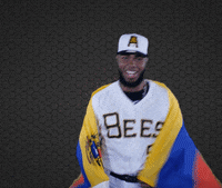 Abejas-beisbol GIFs - Get the best GIF on GIPHY