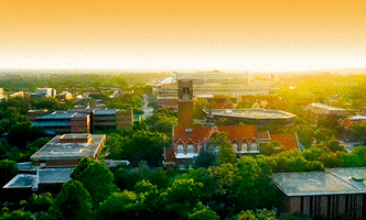 Bell Tower College GIF by University of Florida