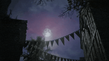 Fight Vampire GIF by Dawnwalker