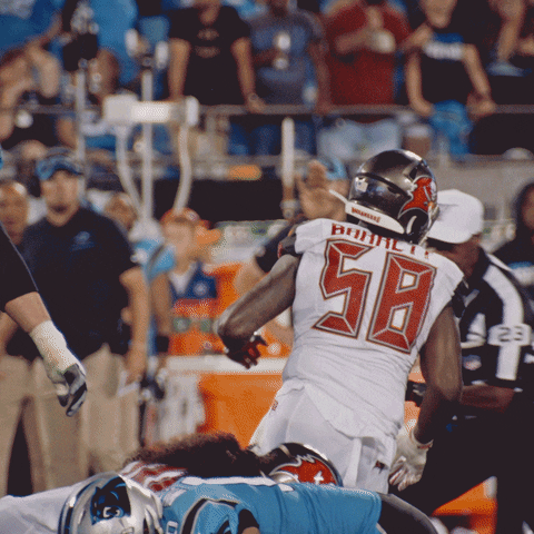 Celebrate Tampa Bay GIF by Tampa Bay Buccaneers