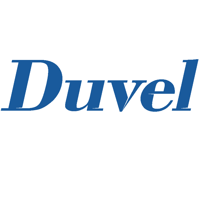 Ford Sticker by Duvel Veículos