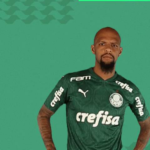Cara Pitbull GIF by SE Palmeiras