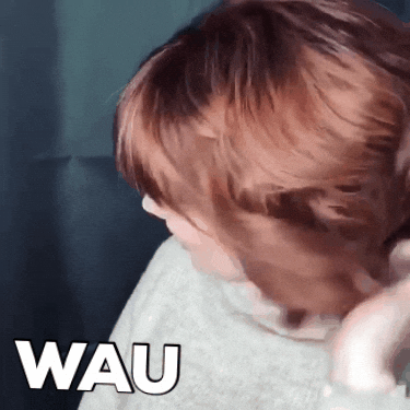 WAUCONCEPT GIF