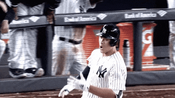 Excited Home Run GIF by New York Yankees