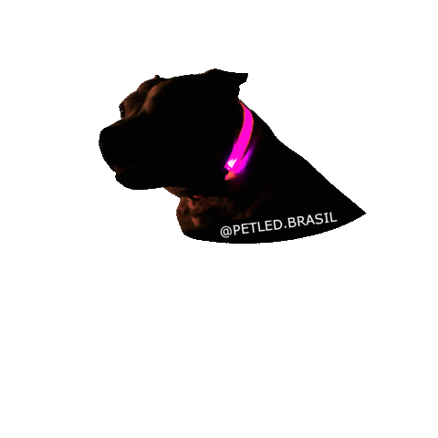 Style Petledbrasil Sticker by PETLED