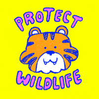 Wildlife Conservation Earth GIF by Katharine Kow