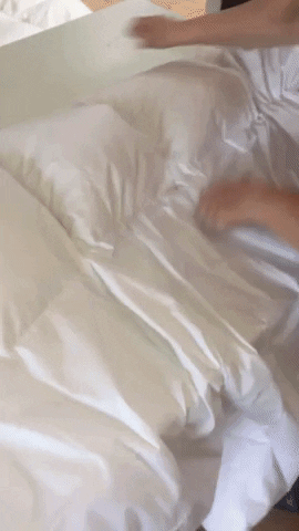 Snuuz GIF