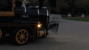 Black And Gold Mascot GIF by Purdue University
