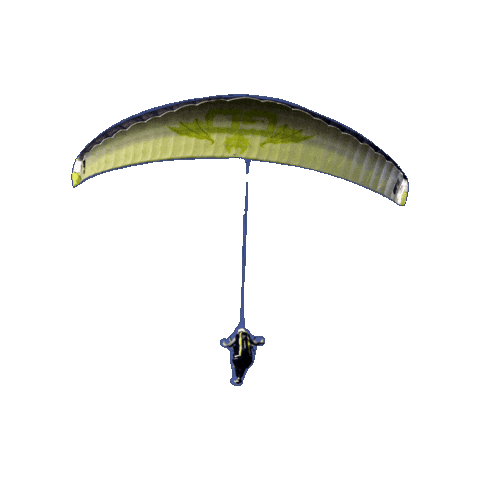 Green Dragons Airsports Sticker