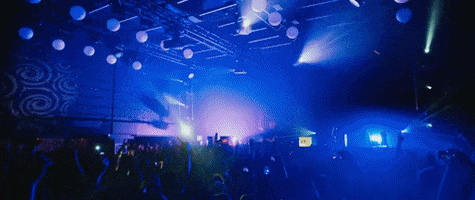 Tiesto GIF by Musical Freedom Records