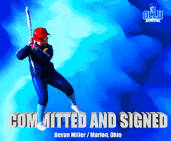Ollusoftball GIF
