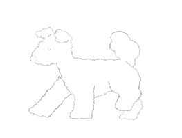 Sticker by kiihwanlim