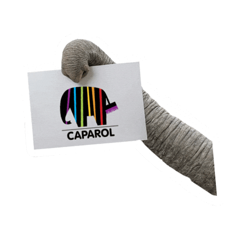 Trunk Feelthepower Sticker by Caparol Deutschland