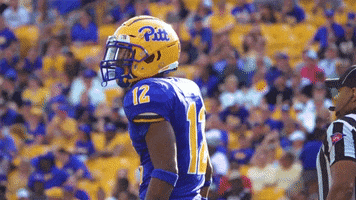 College Sports Yes GIF by Pitt Panthers