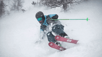 Ski Powder GIF by Bergwerker.de