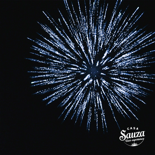 Happy New Year Party GIF by Casa Sauza