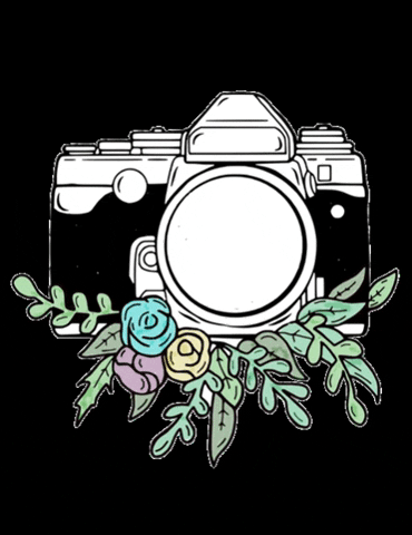 Brianna Katherine Photography GIF
