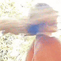 giphy.gif?cid=4d1e4f29c81b1c2b4403ab3649