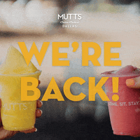 Were Back GIF by MUTTS Canine Cantina