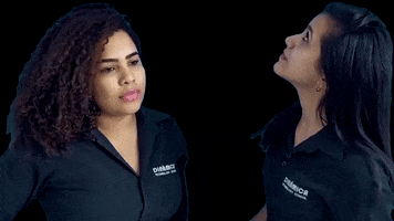 Escola Dinâmica GIF