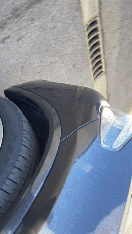 Louyet GIF