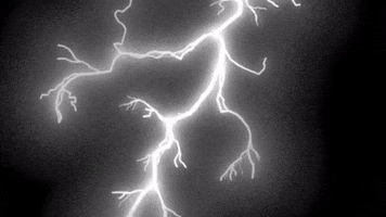 Here Comes Heaven Oneconfsd GIF by City Church SD