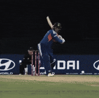 India Ipl GIF