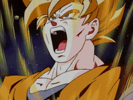 Dragon Ball Z GIF