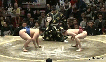 Sumo Win GIF - Find & Share on GIPHY