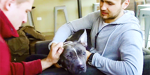 and this is cute ok bye